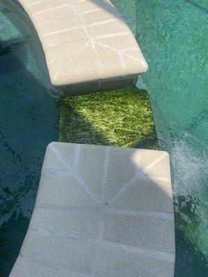 Quality Pools & Spas-Landscaping & Design