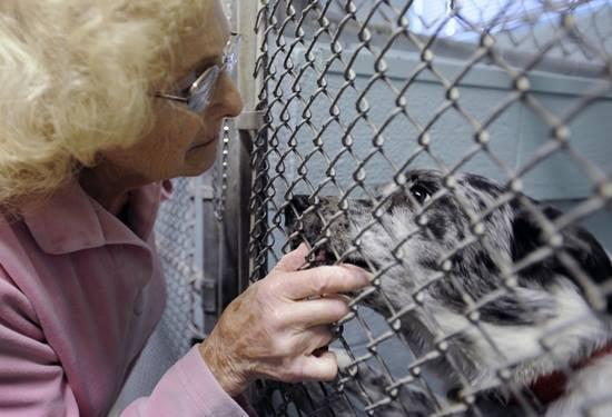 Trude always provided compassionate care for our canine friends.