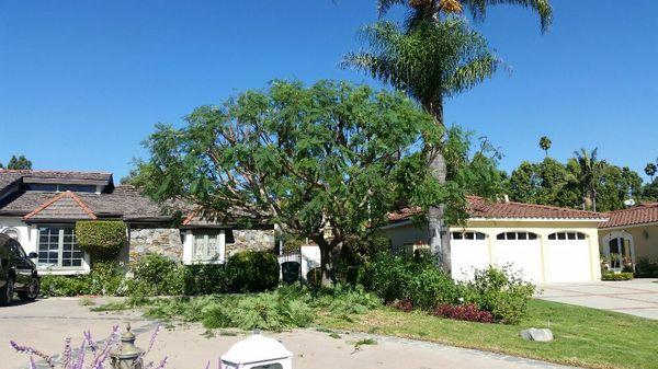 Frank's Artscaping Inc.