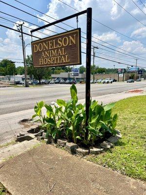 Donelson Animal Hospital