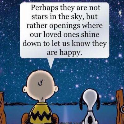 Get Along Little Doggies Encinitas