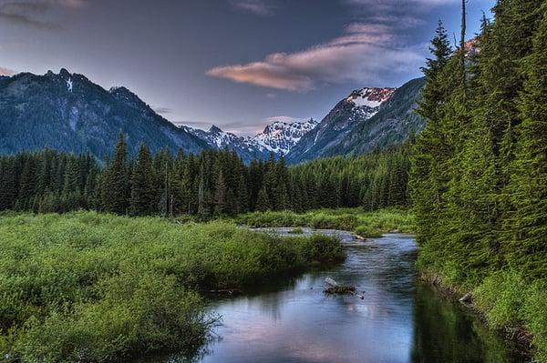 Apex Insurance Managers LLC