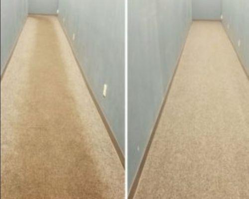 Maymay's Carpet Cleaning