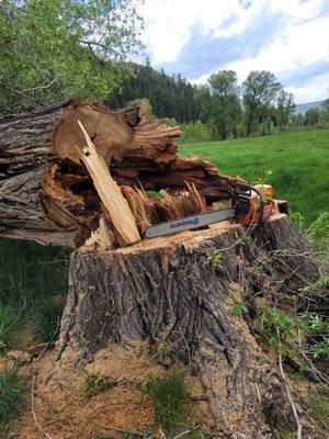 Scott's Business Evergreen Fire Solutions