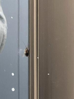 Saratoga Ridge Apartment Homes