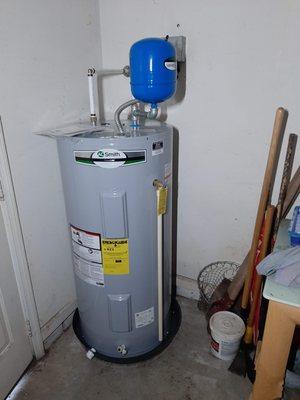 Lizard with a Ladder