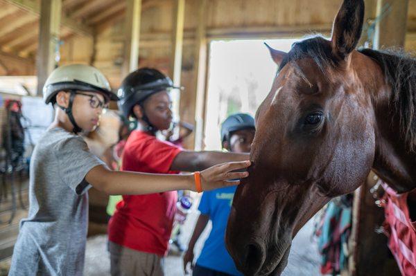 Camp Speers YMCA in the Poconos