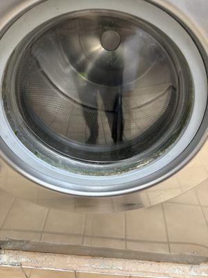 All of them I came to this place cus was quite