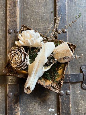 Bugs, Bones & Stones