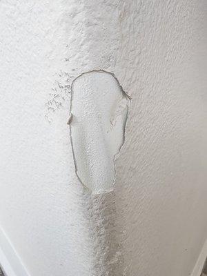 Elite Moving San Diego