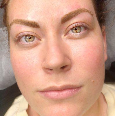 Client requested high arch, warm toned, thicker brows, with a tapered inner bulb. We delivered!