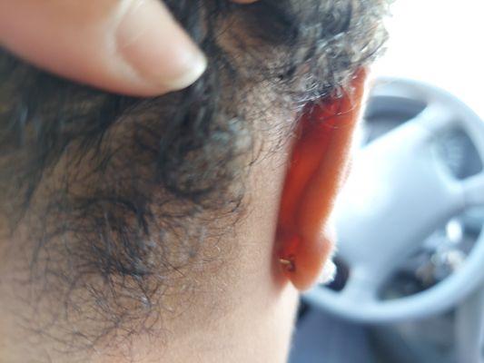 Phenomenal Hair & Nail Design