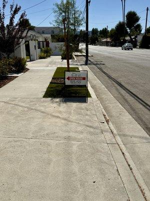 Mike Levy - Keller Williams Realty