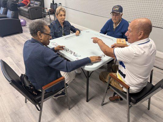 Royal Palm Adult Day Care