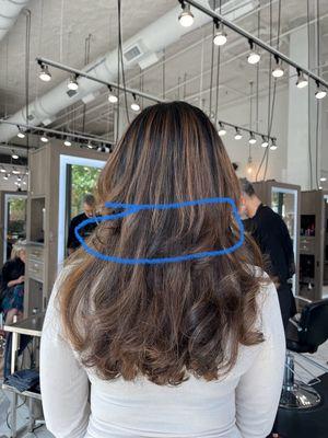 Van Michael Salon