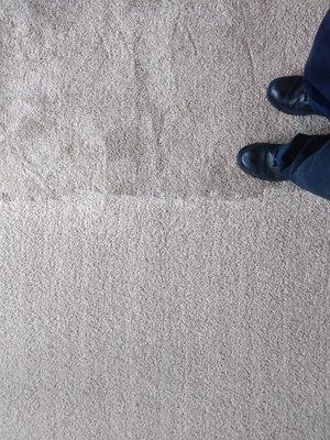 Evergreen Carpet And Upholstery Cleaning