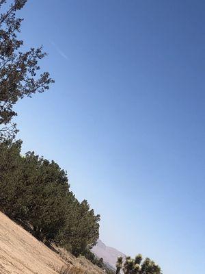 San Bernardino County Sheriff's Department - Phelan