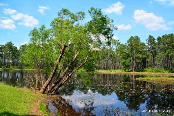 Desoto National Forest - Aiery Lake Recreation Area