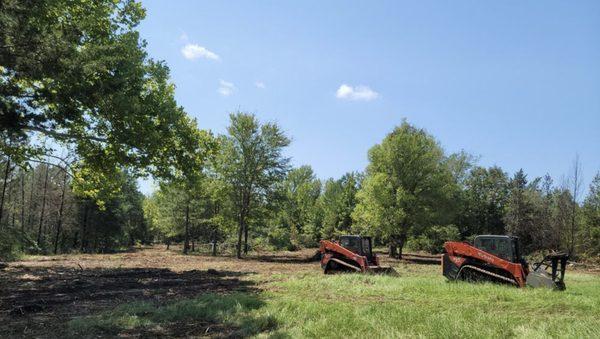 Stomper Stump Grinding