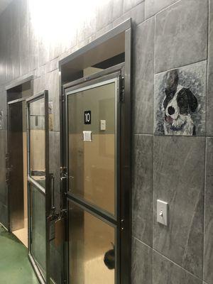 Animal Hospital - Boarding