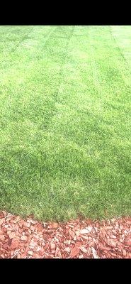 Benny Precision Landscaping