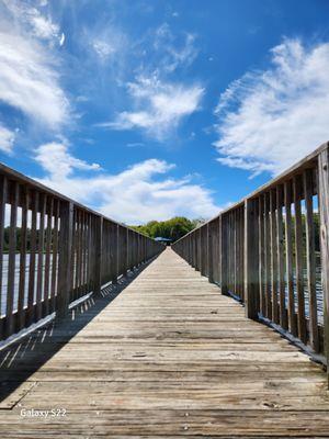 Reddie Point Preserve