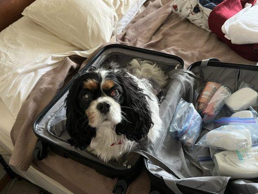 Roscoe Veterinary Clinic