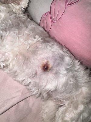 Her small cut turn into a bad infection