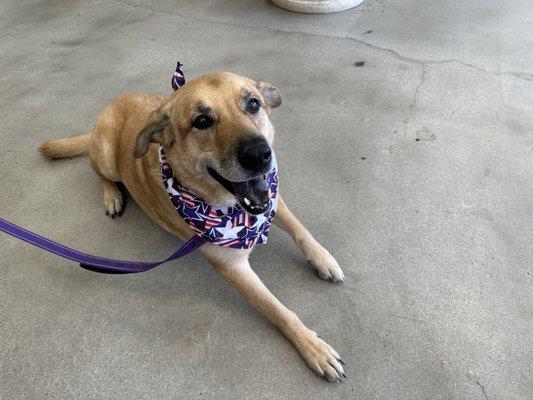 Las Palmas Wigs and Hair Salon