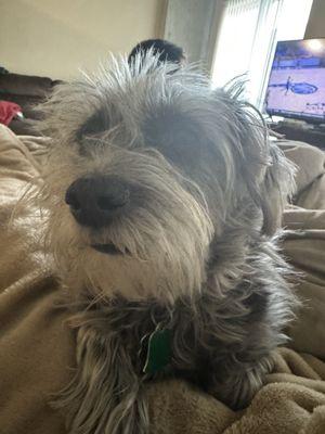 Critters with Krystal