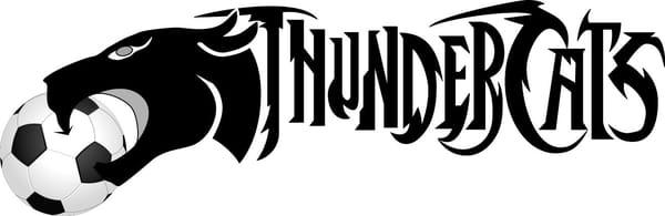Thundercats Black Logo.