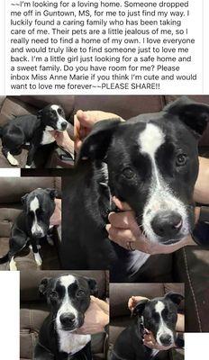 Rescue Revolution of Mississippi