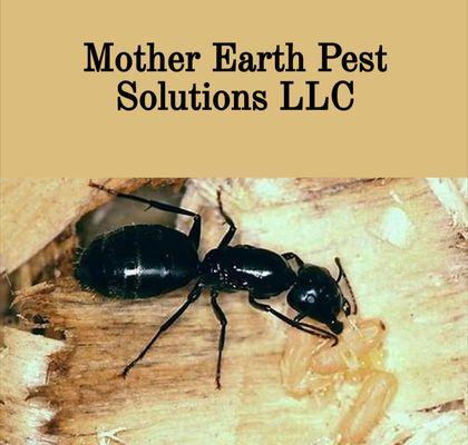 Mother Earth Pest Solutions