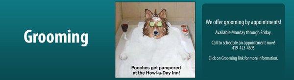 Howl-A-Day Inn Doggie Day Care
