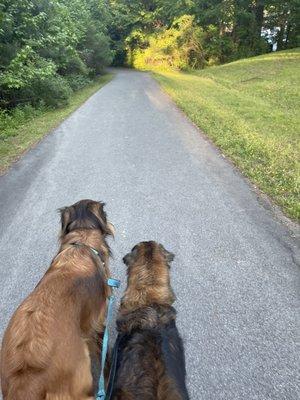 Third Fork Creek Trail