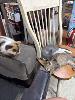 Adams Tire & Alignment