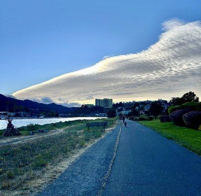 San Francisco Bay Trail