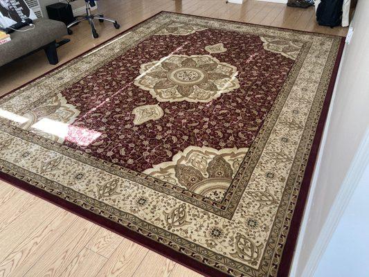 New rug laid out in living room (Angled)