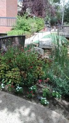 Nikaos Counseling Colorado