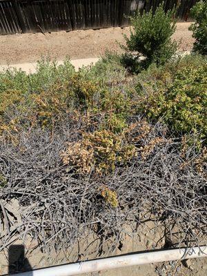 WSR Real Estate Sales & Management