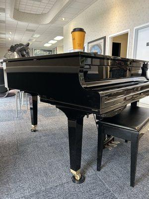 Healthy Vision Institute