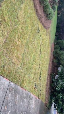 Master Lawns and Designs