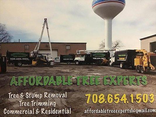 Affordable Tree Experts