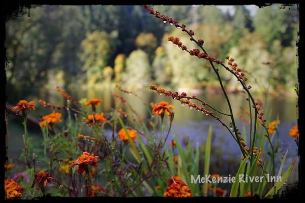 A guest made this beautiful dew shot in the early morning this fall.