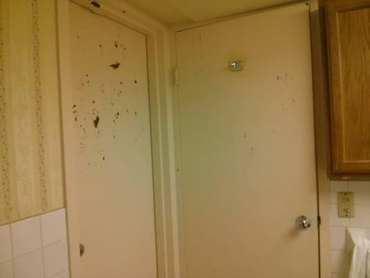 I don't know why there were two doors to the bathroom, but they both looked like shit.