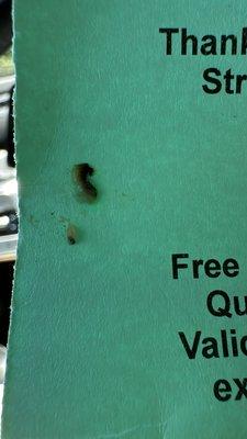 The mold when I put it on a piece of paper