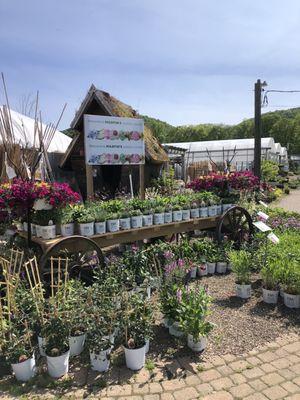 Martin’s Garden Center