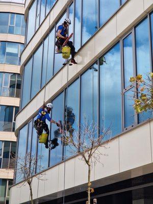 College Crew Window Cleaning