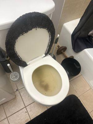 Apartments at Bridgeport