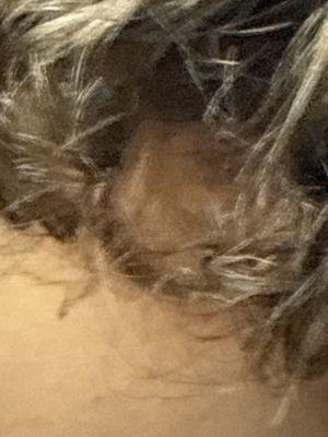 Scotland Christian Academy